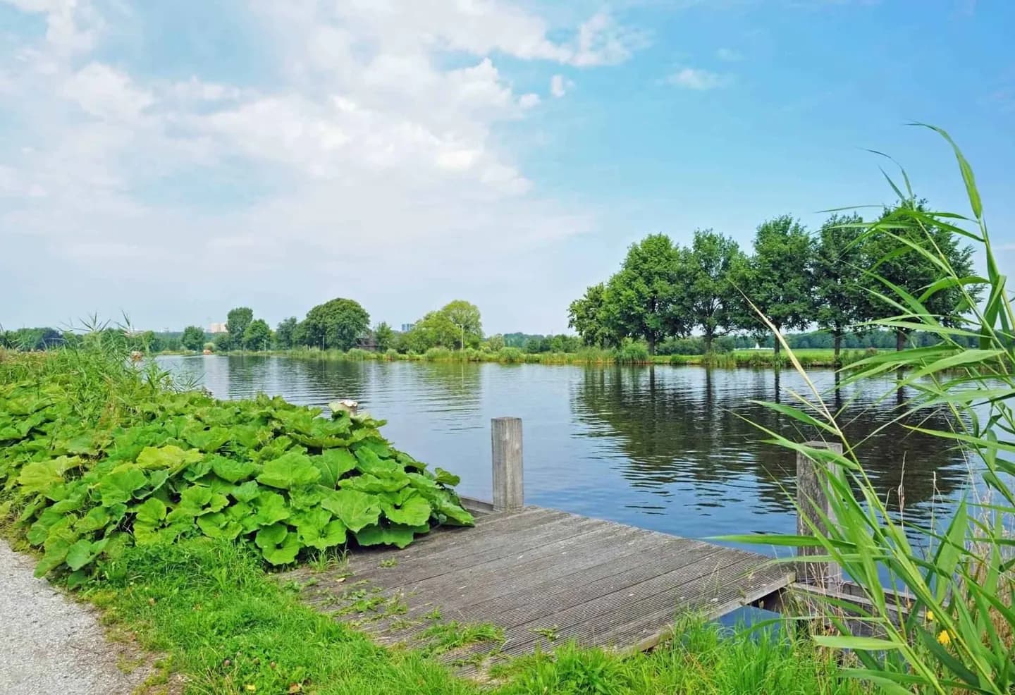 Paesaggio acquatico di Amsterdam · 3