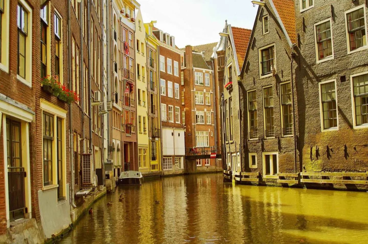 Comprendre Amsterdam · 2