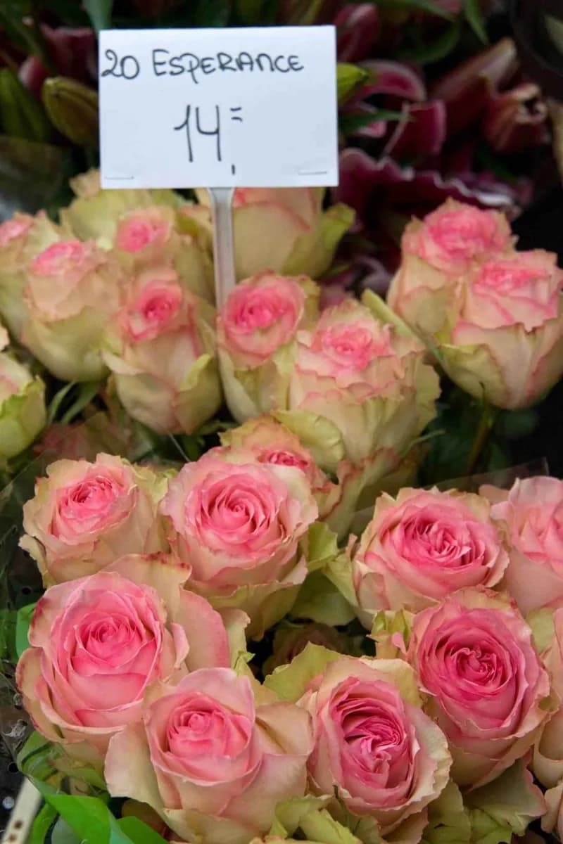 Bloemenmarkt · 2