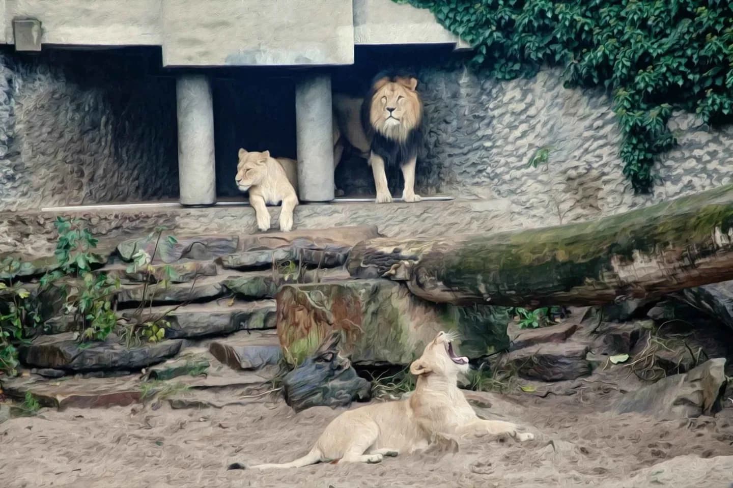 Zoo di ARTIS · 2