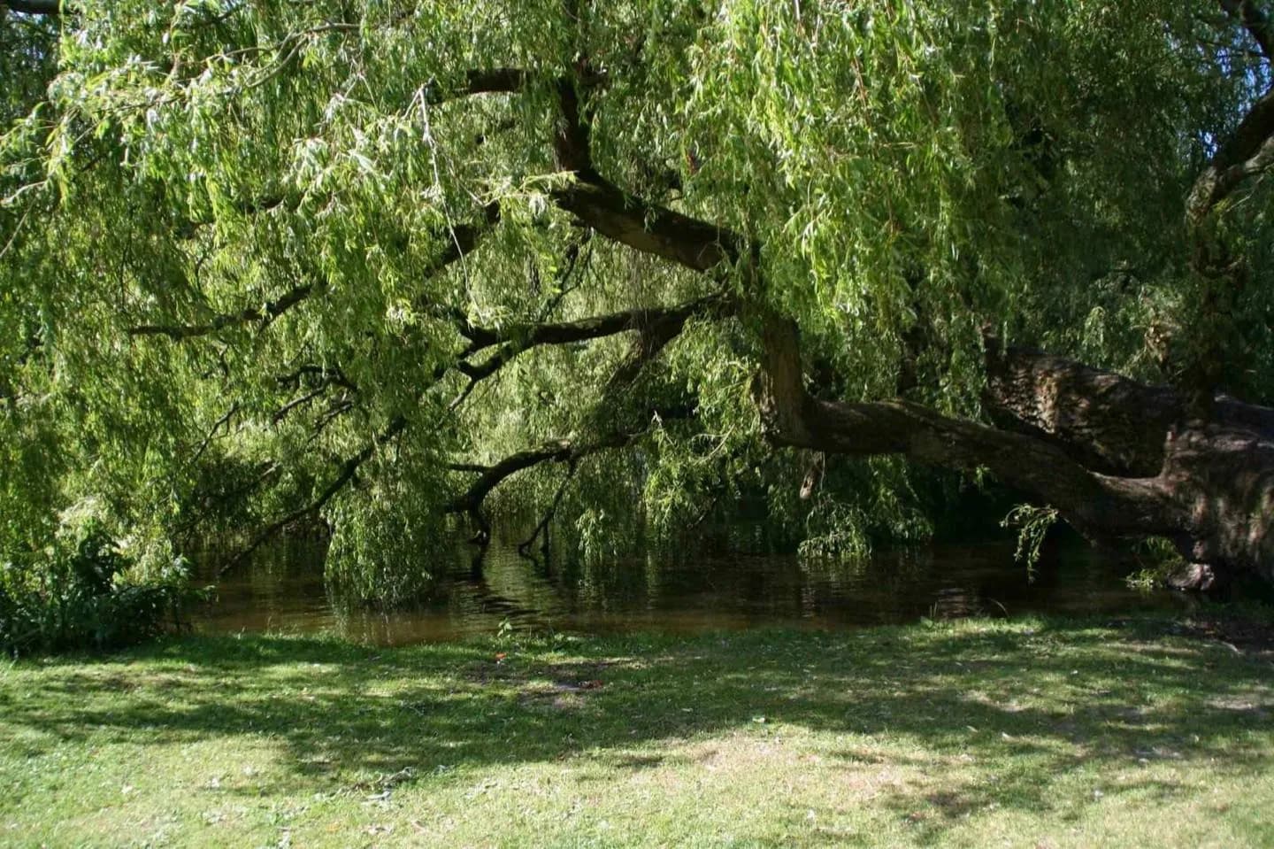 Vondelpark · 3