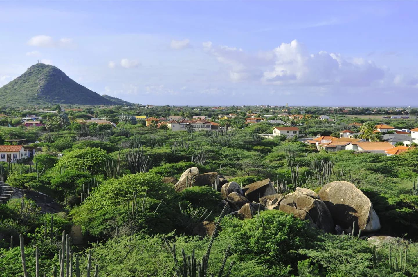 Scegliere le coste e l'interno di Aruba · 2