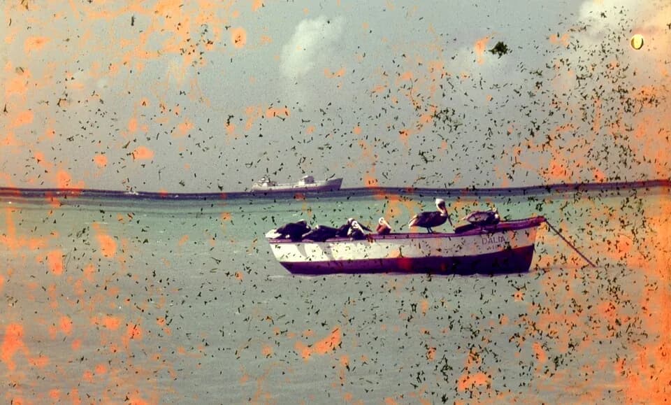 Hadicurari Strand