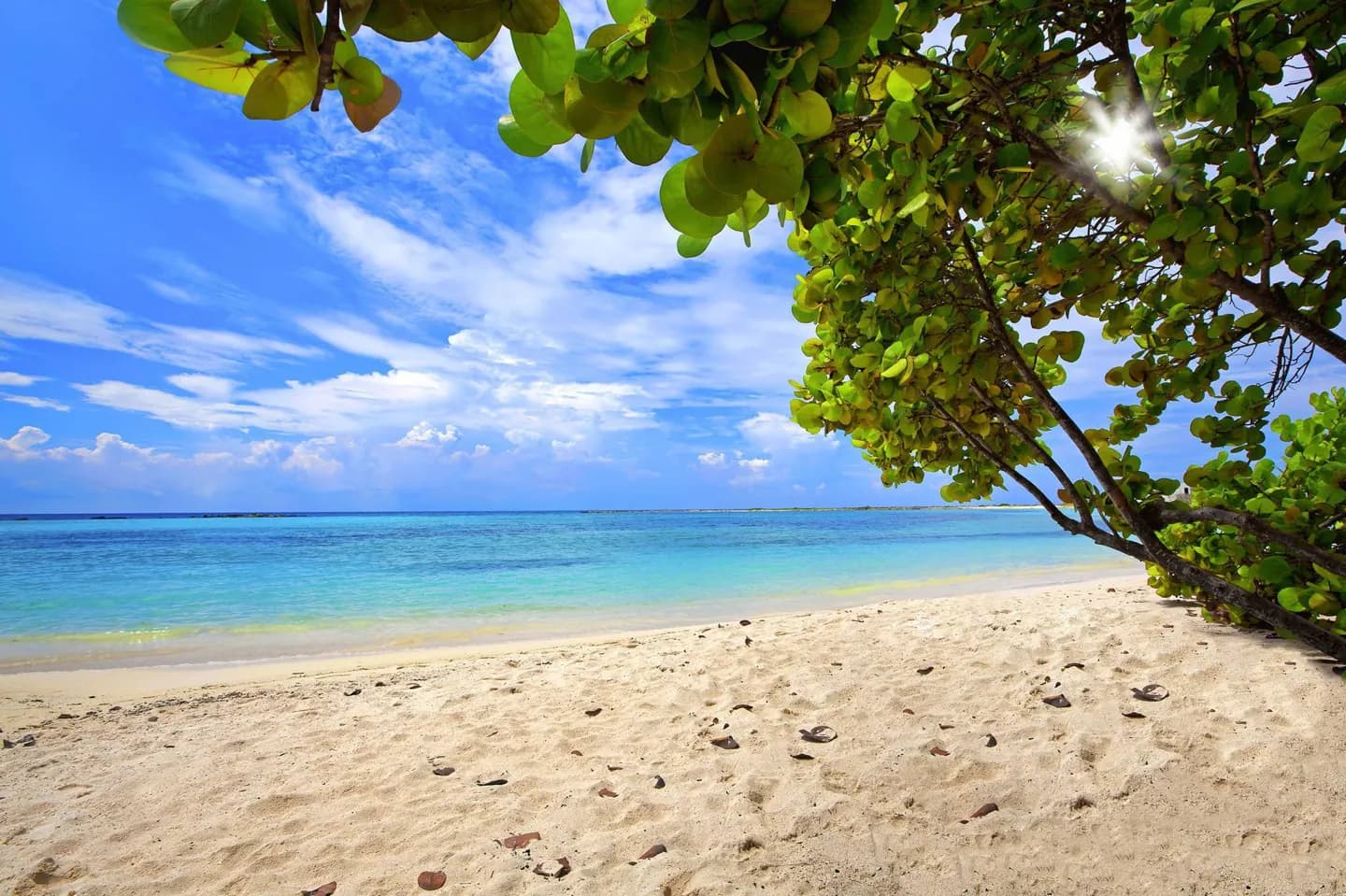 Plage de Rodgers