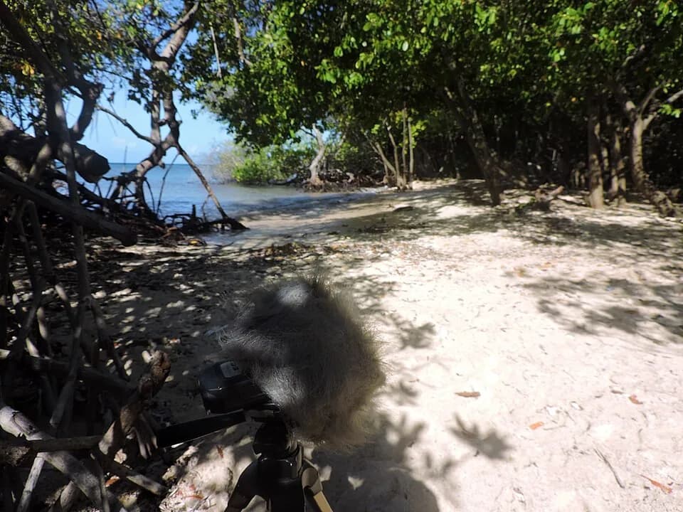 Santo Largo Beach