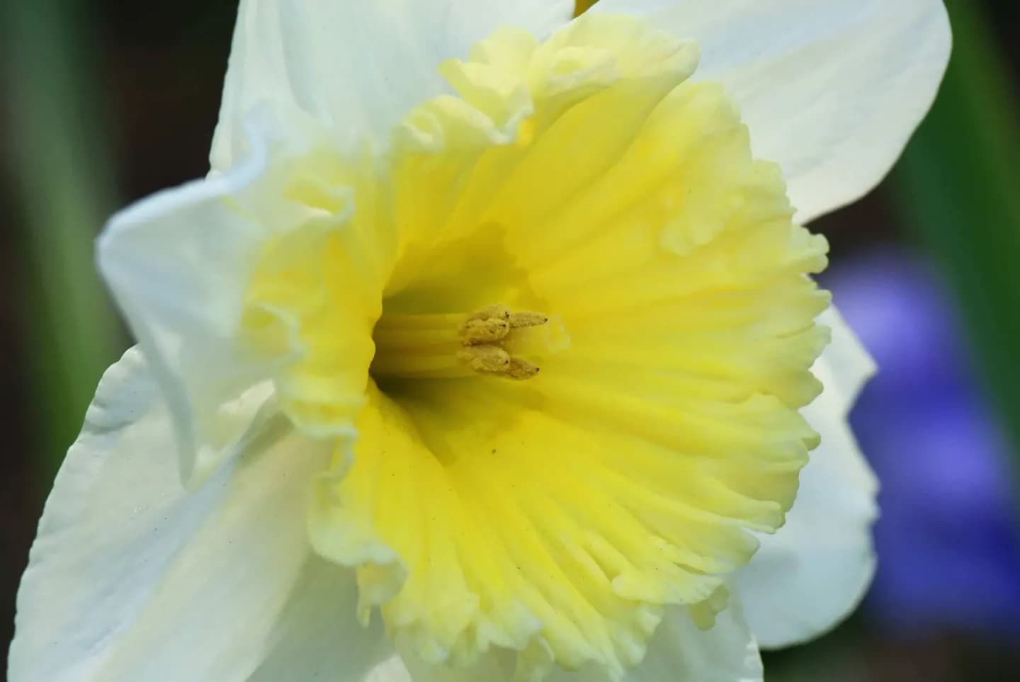 Atlanta Botanical Garden · 2