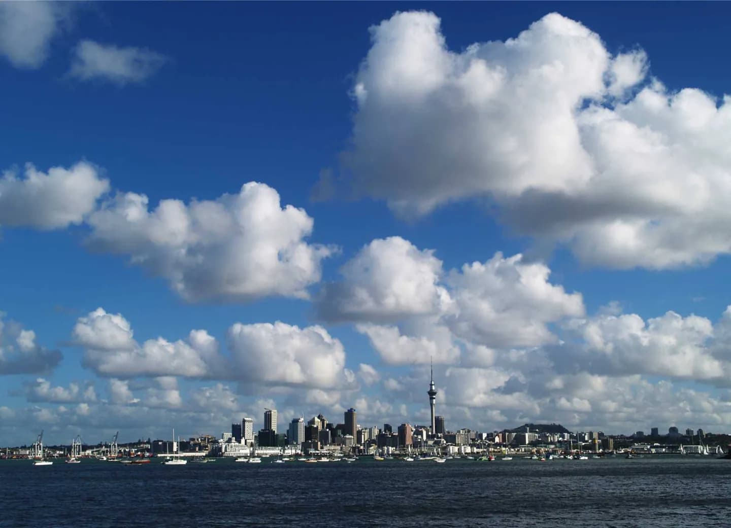 Entendendo Auckland · 2