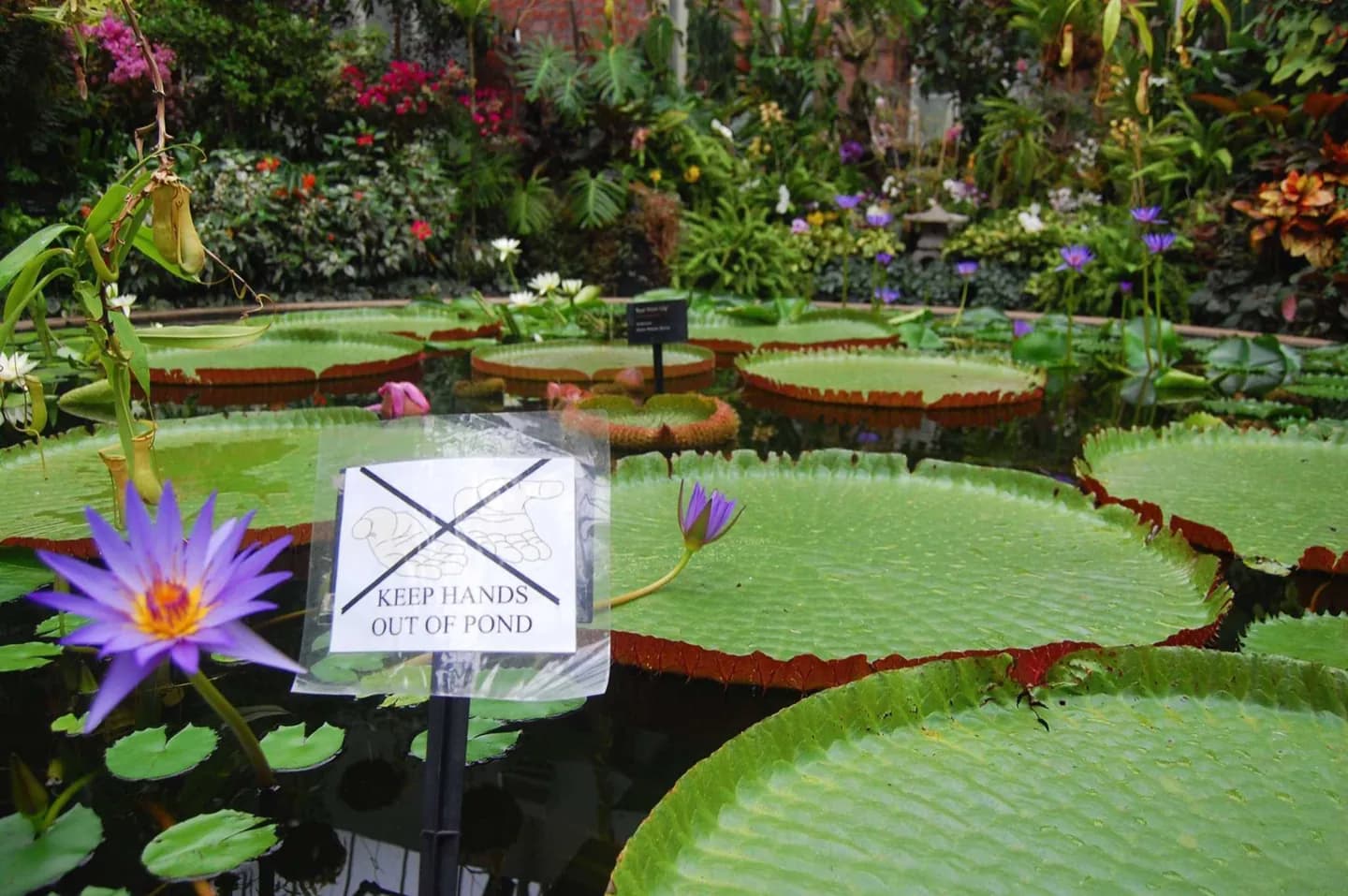 Giardini Botanici di Auckland
