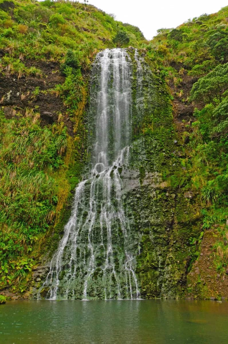 Te Wao Nui o Tiriwa / Waitākere Ranges · 2
