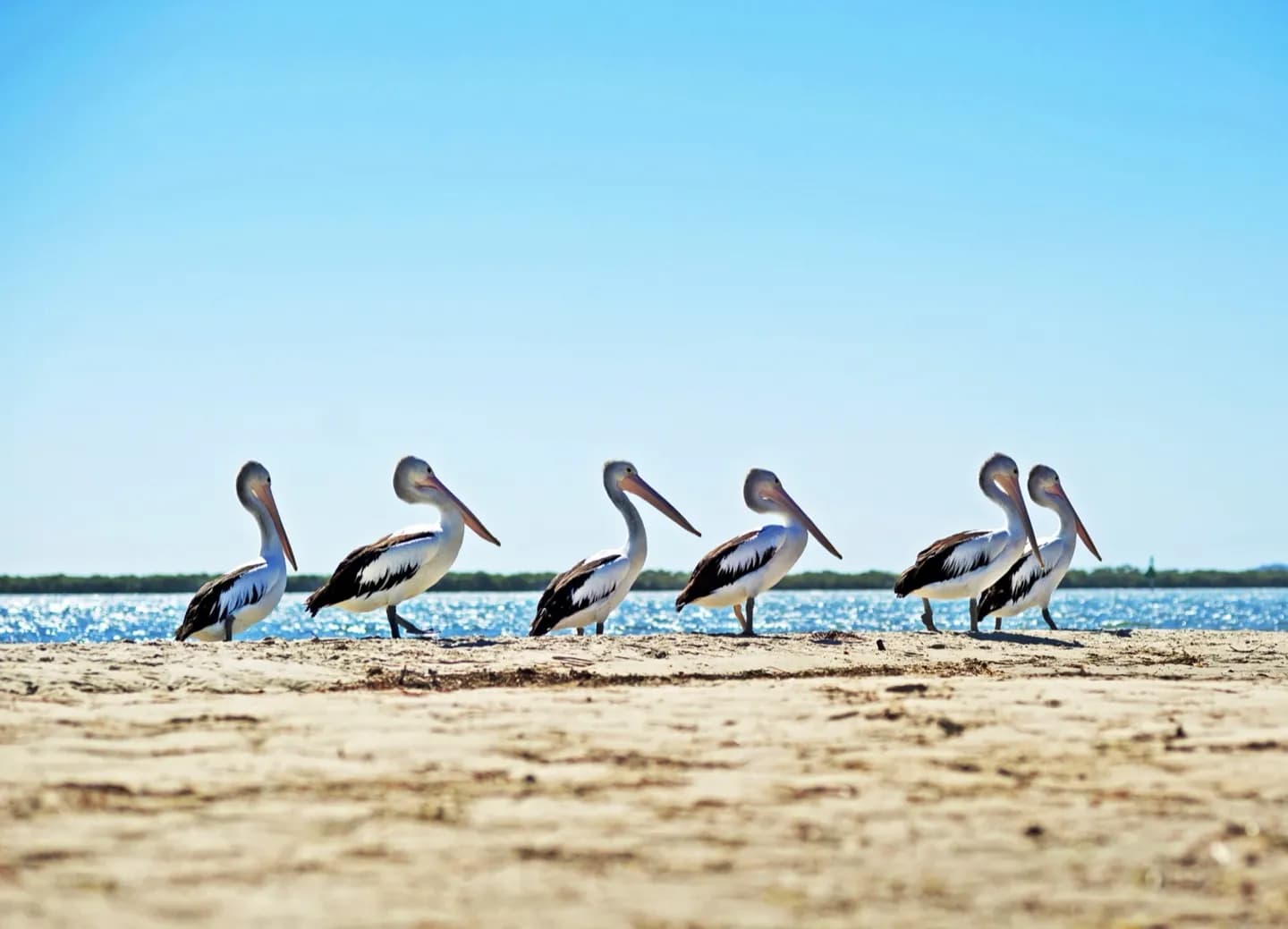 Costa d'Oro · 2