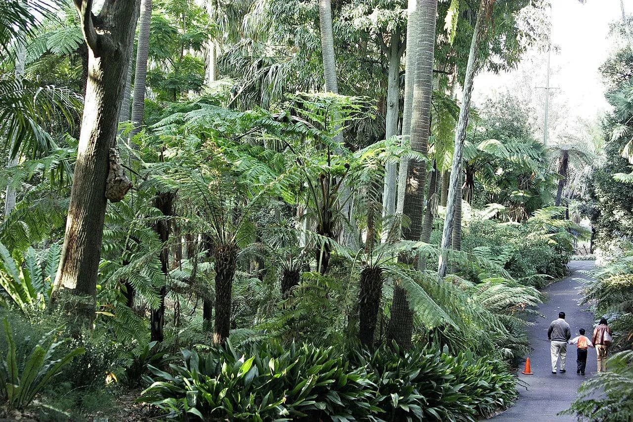 Jardines Botánicos Reales de Melbourne