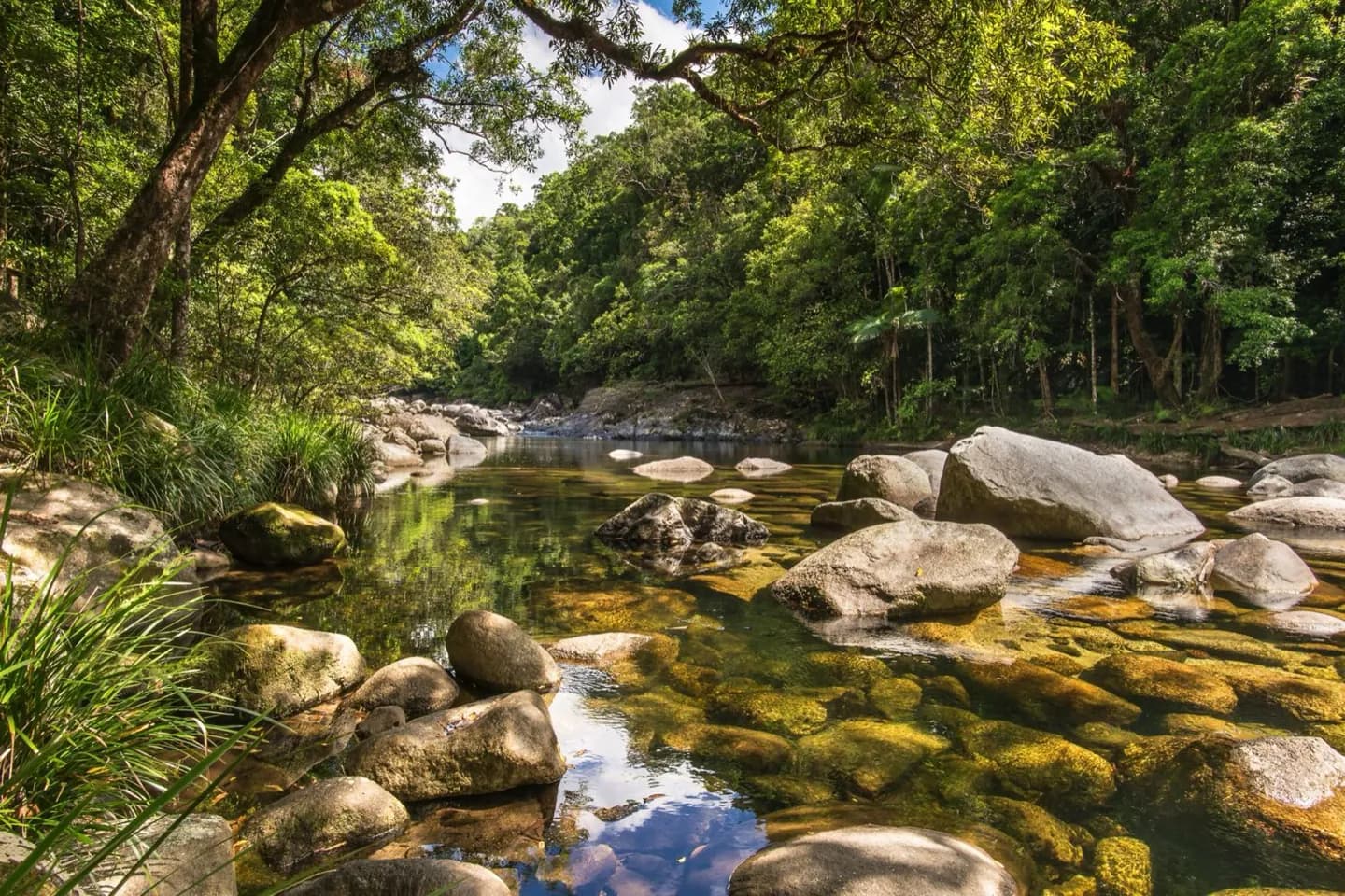 Daintree Nationalpark