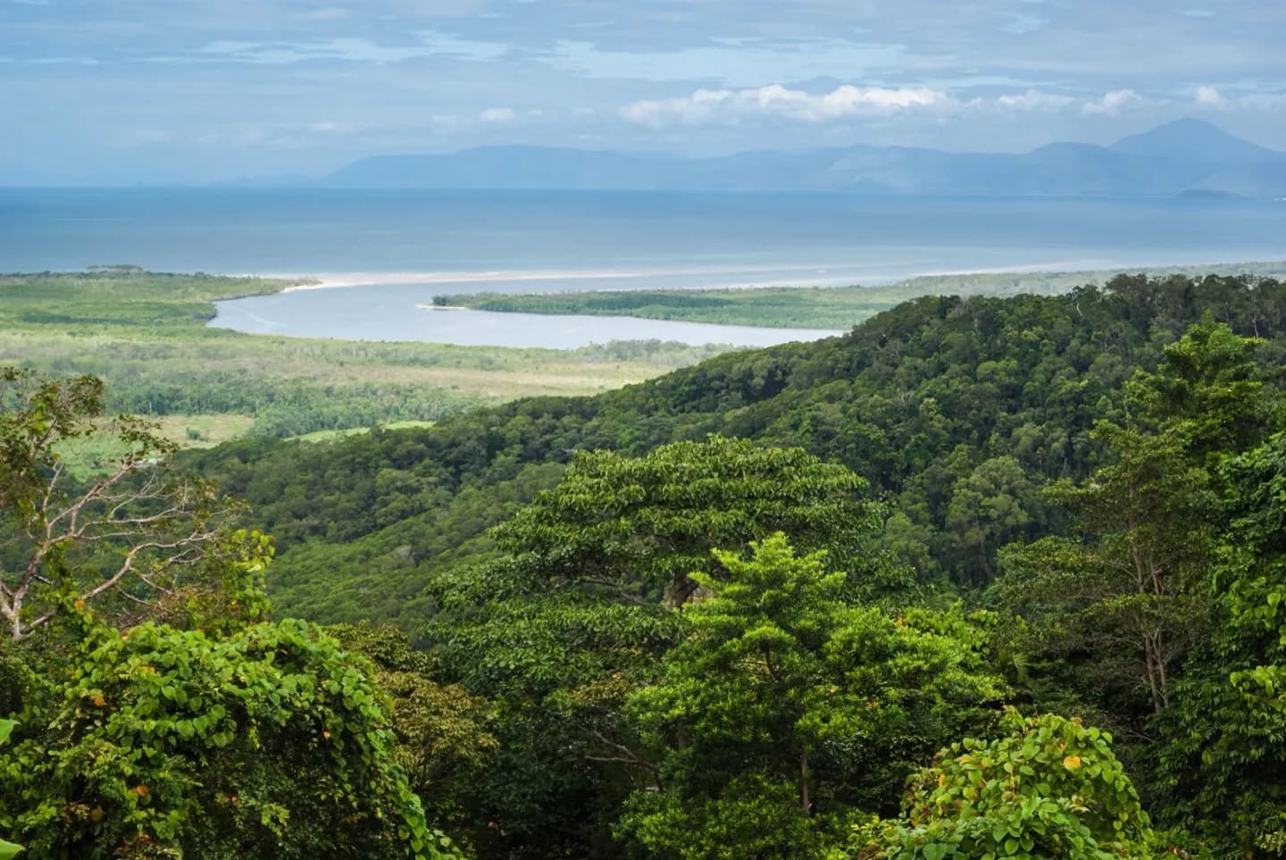 Parque Nacional Daintree · 2