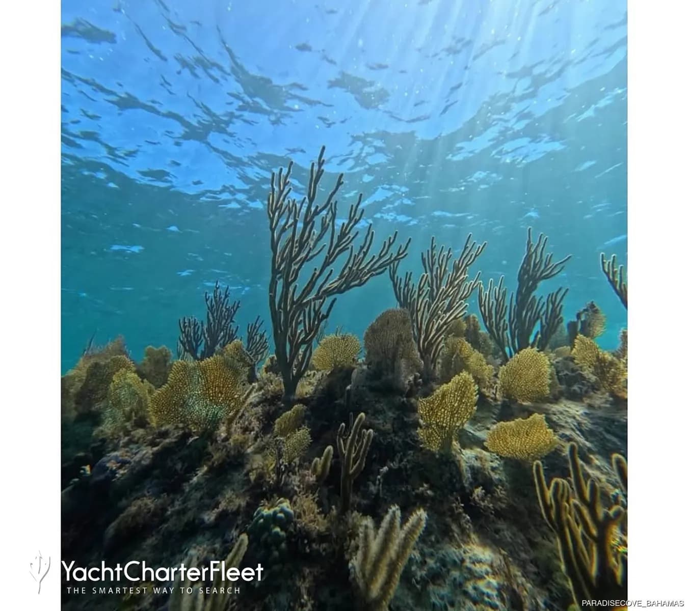 Deadman’s Reef