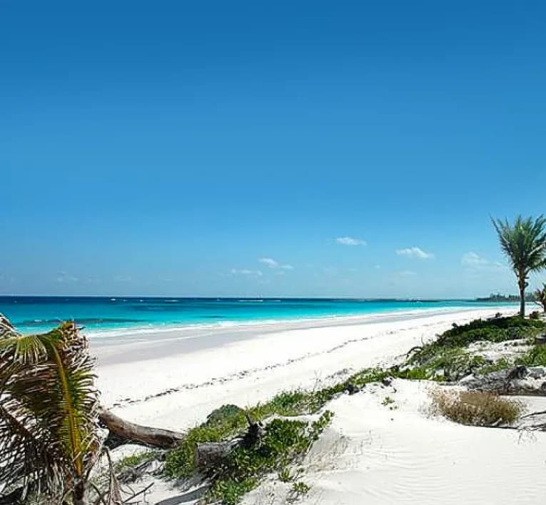 French Leave Beach