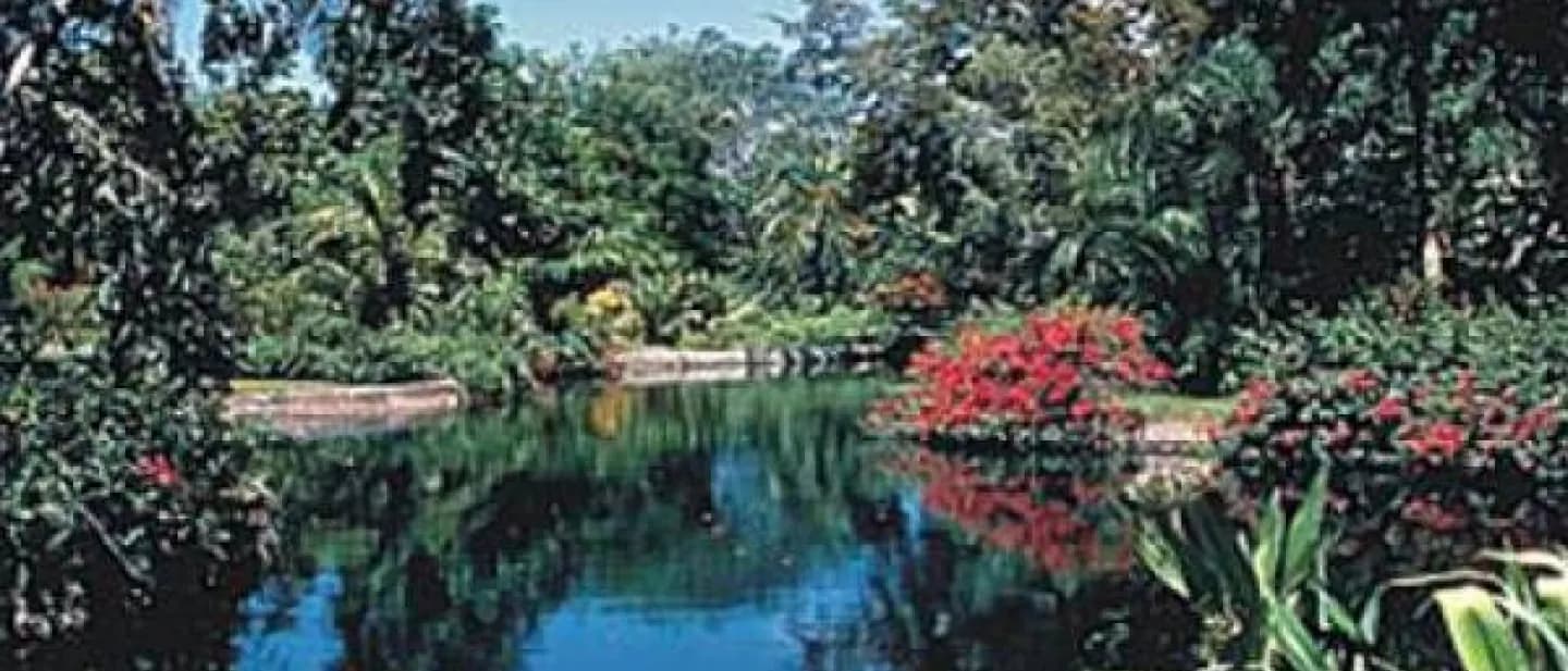 Jardines Botánicos de Nassau