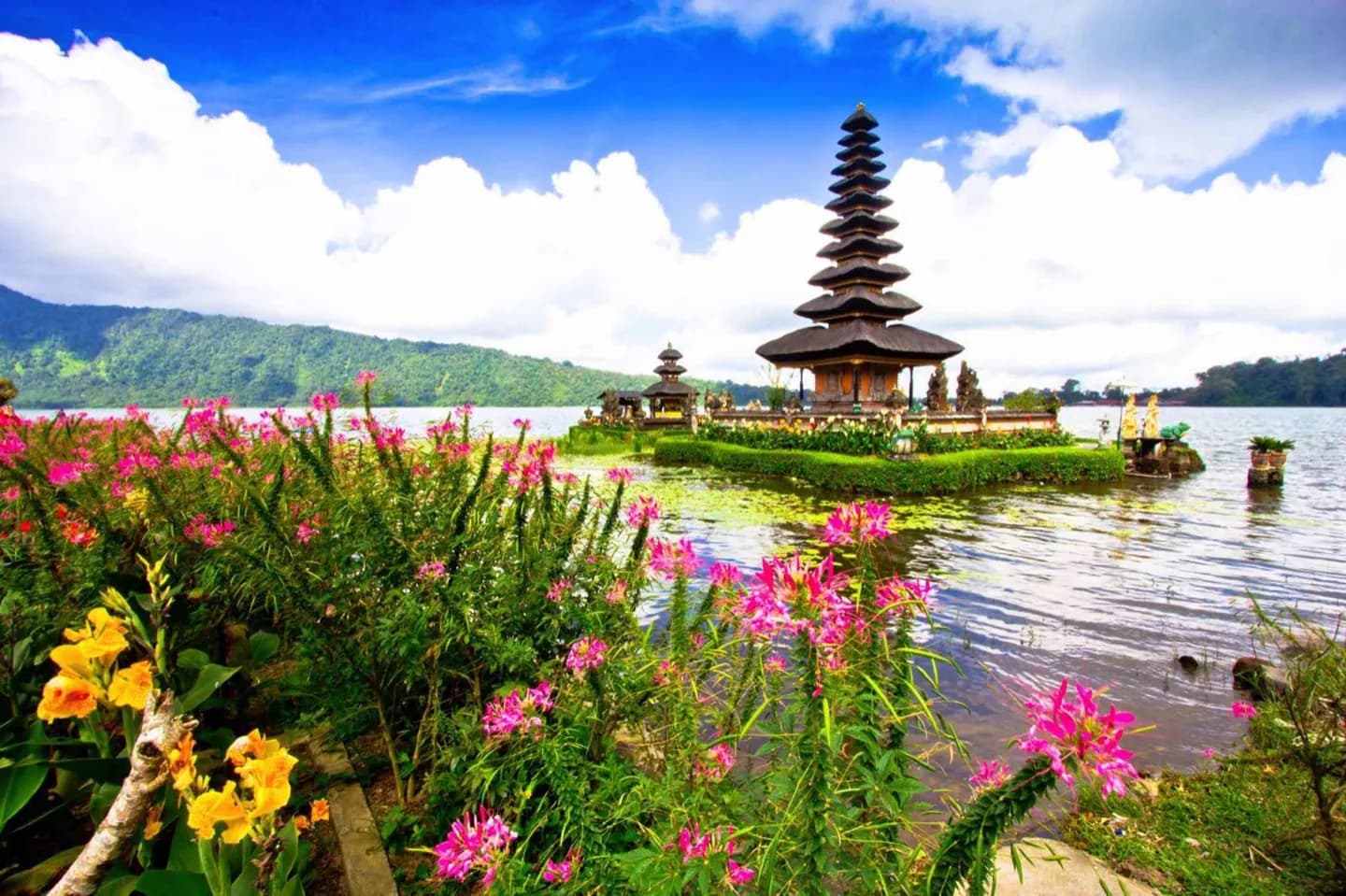 Bedugul