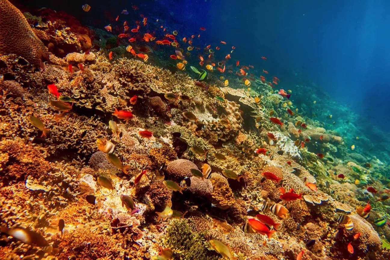 Nusa Lembongan · 2