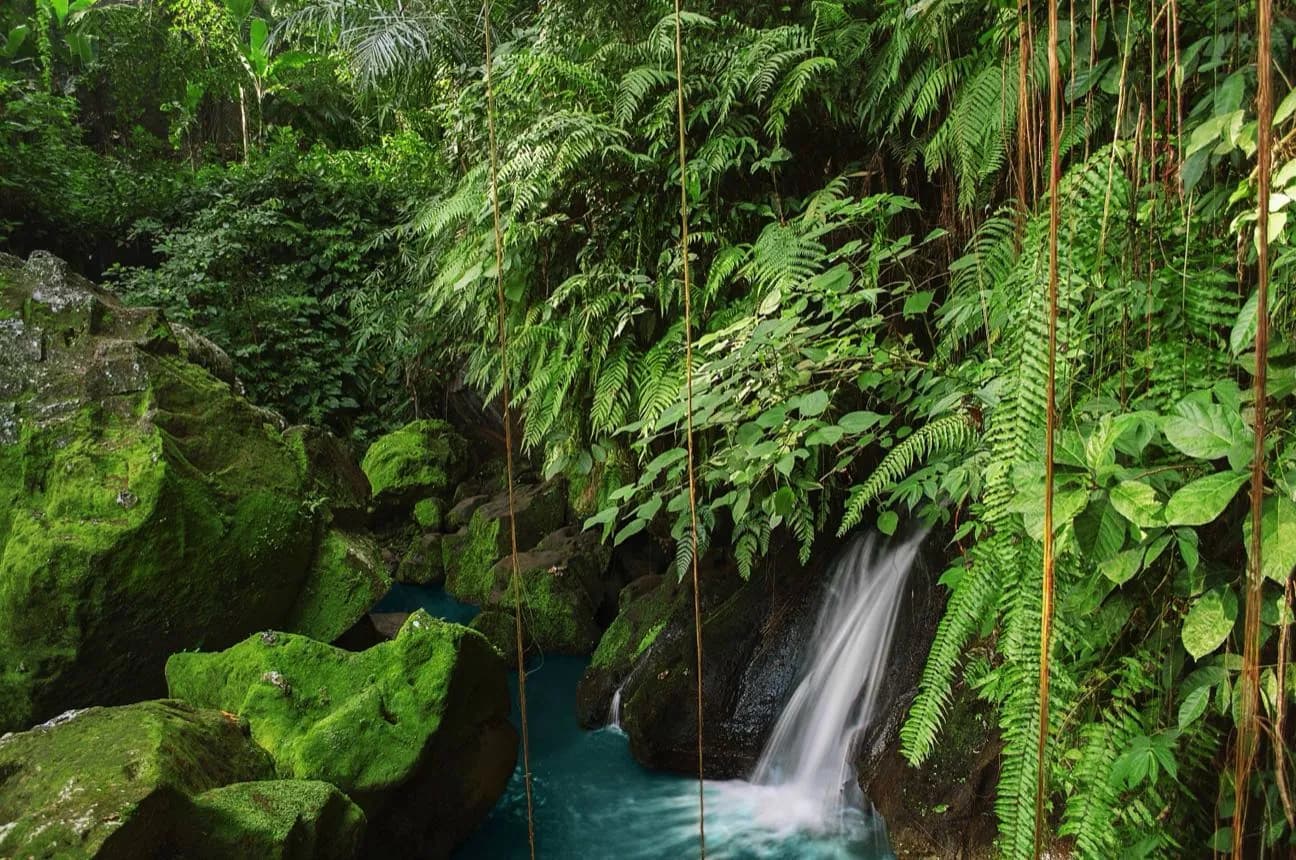 Bali's Living Landscapes
