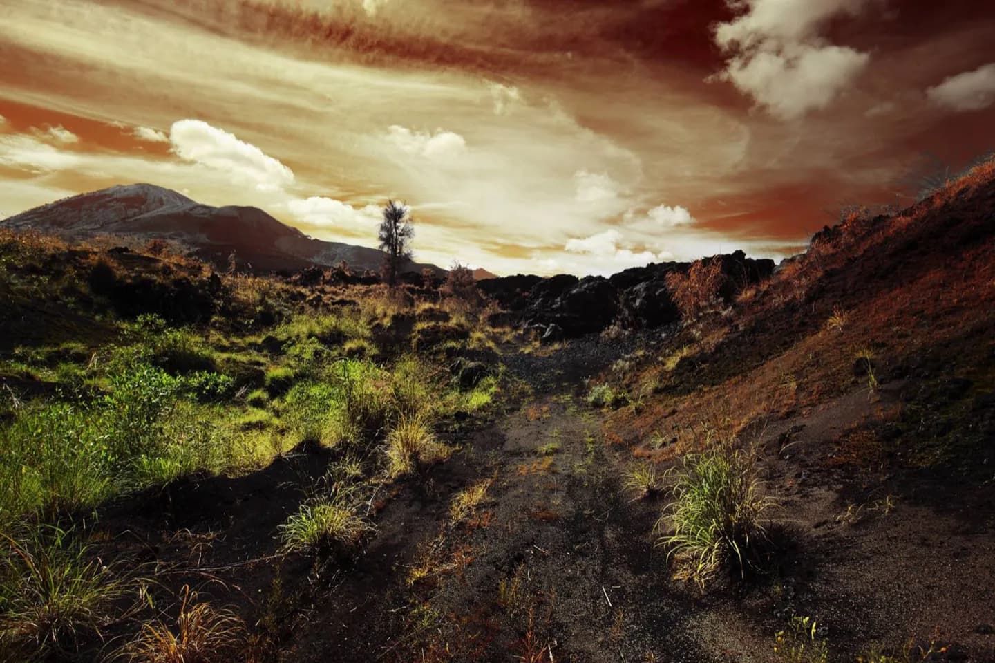 Bali à travers le temps · 9