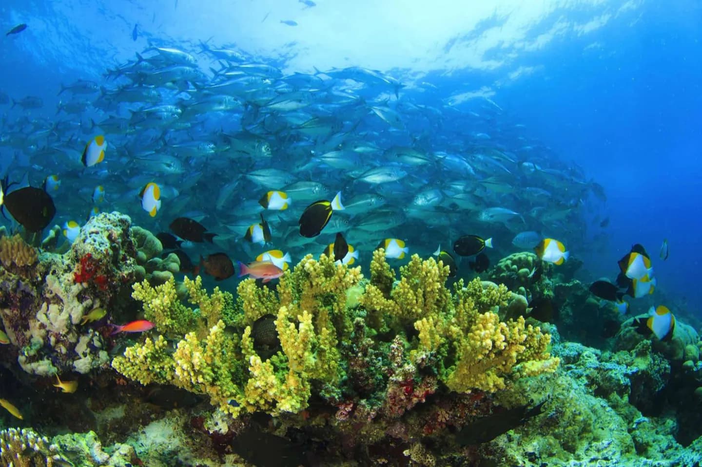 Comment fonctionne le paysage de Bali · 2