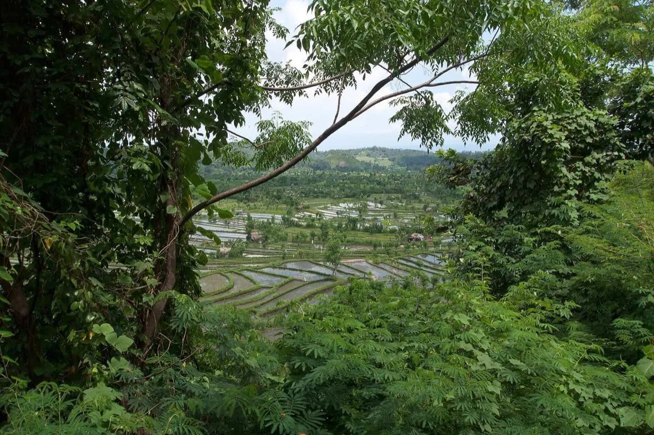 Tirta Gangga