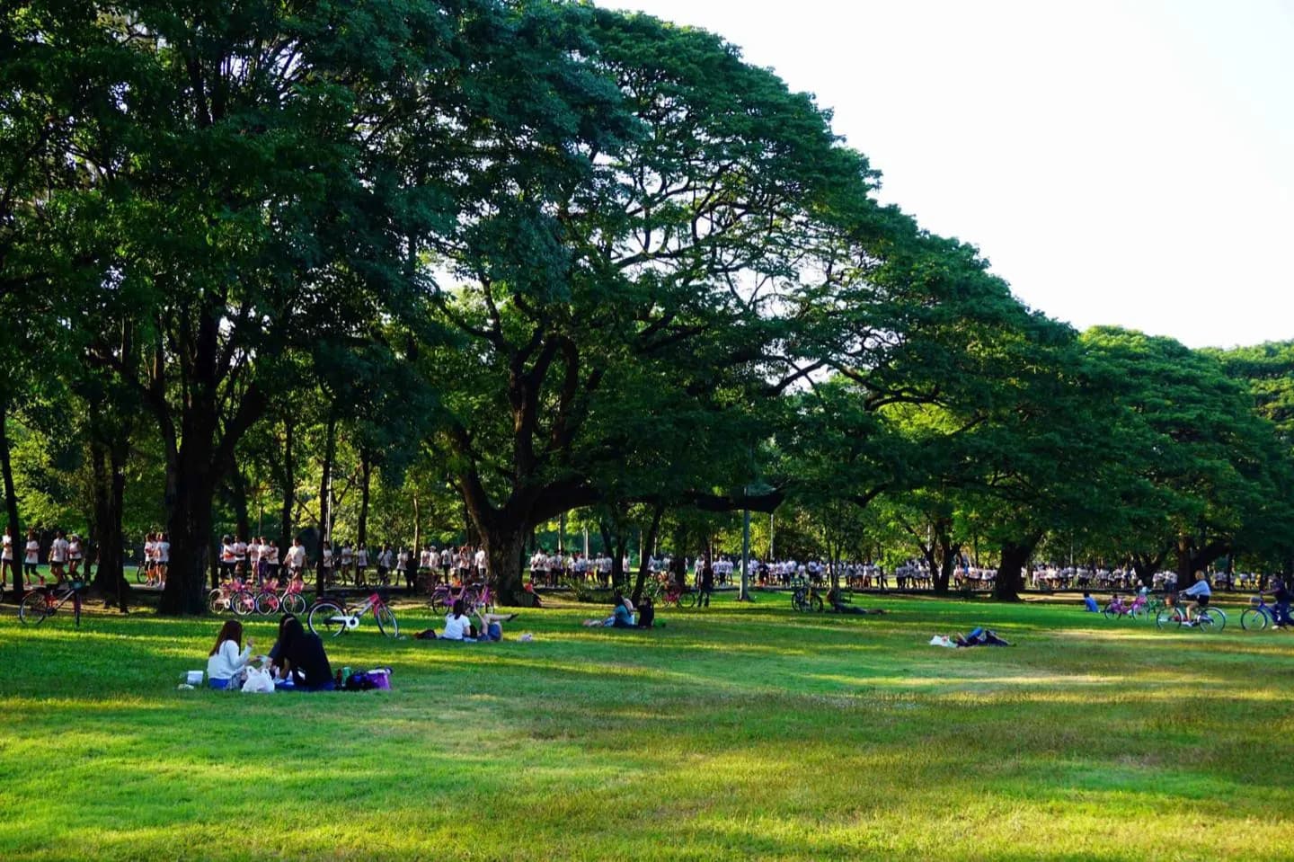 Parc Wachirabenchathat · 2