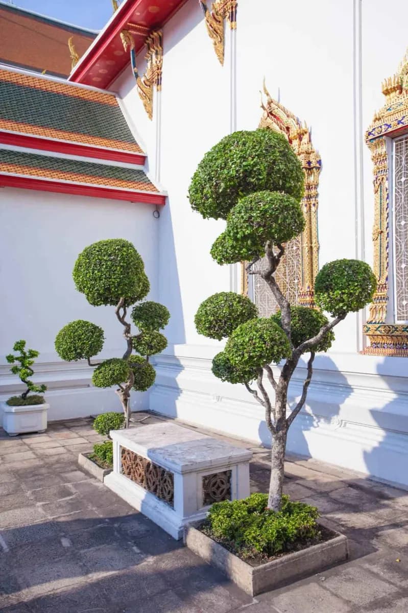 Wat Pho