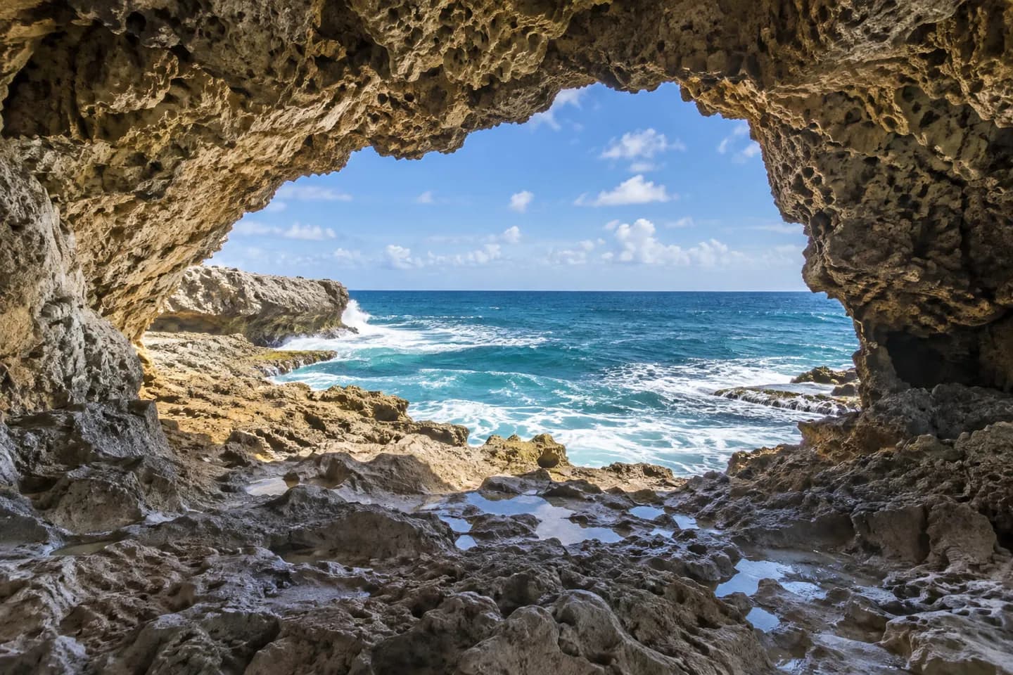 Animal Flower Cave