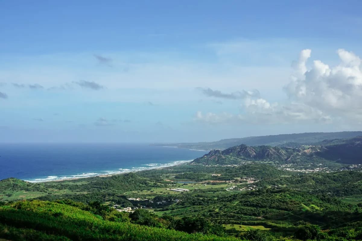 Cherry Tree Hill