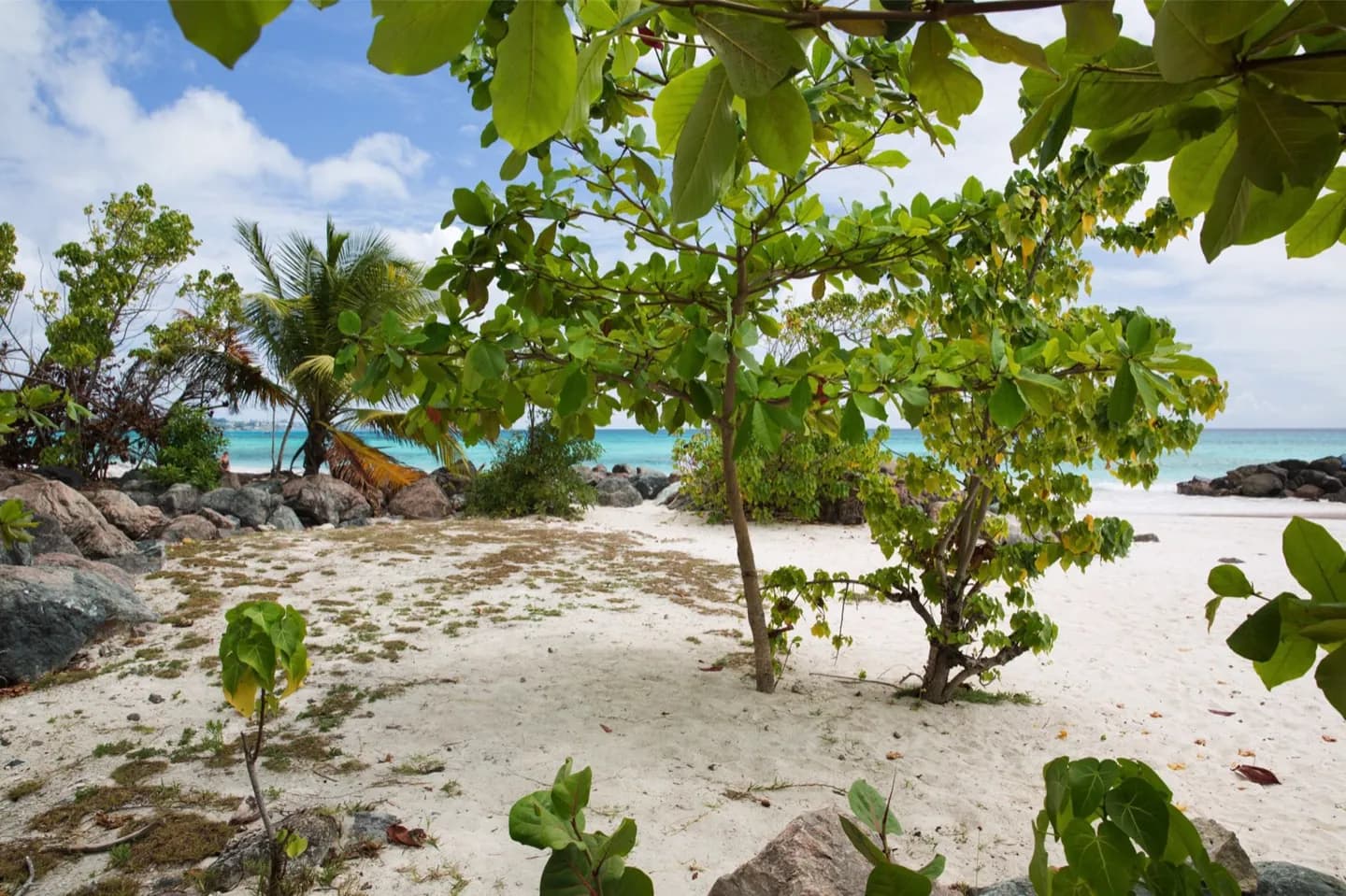 Warum Barbados Höhlen und Schluchten hat · 2