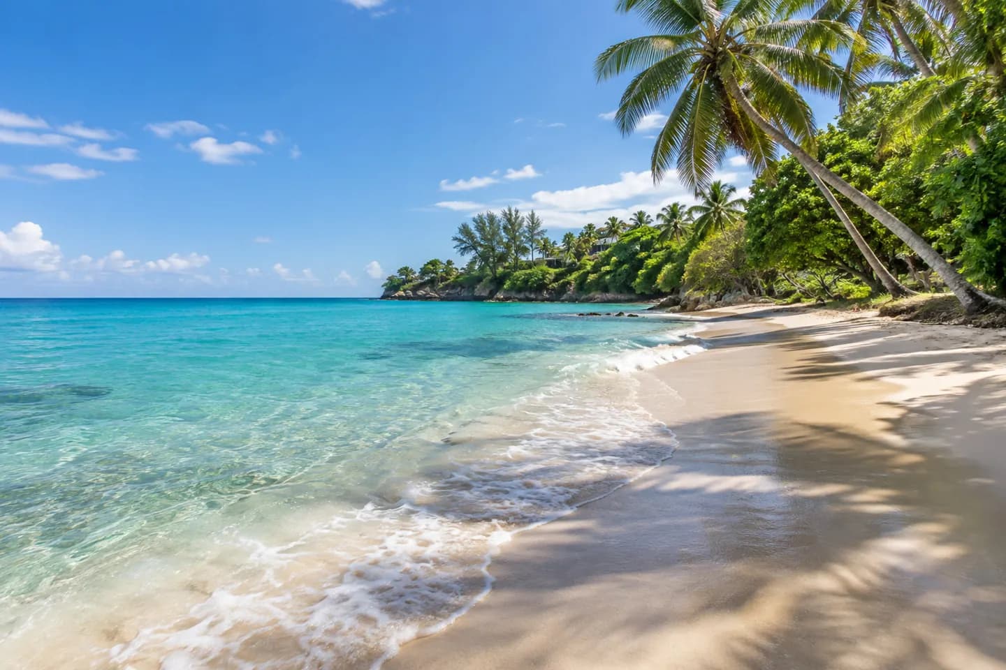 Mullins Beach