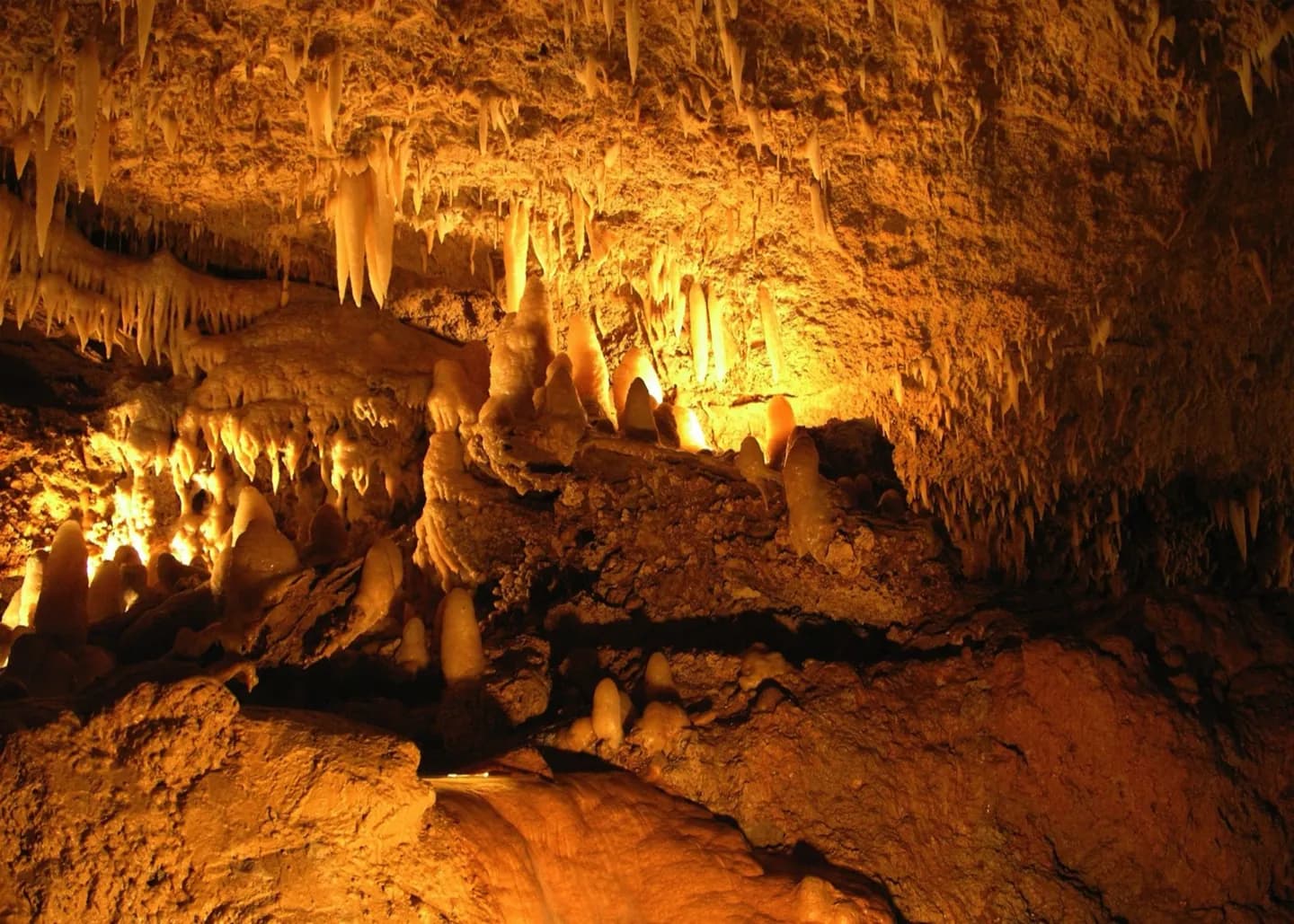 Cueva de Harrison