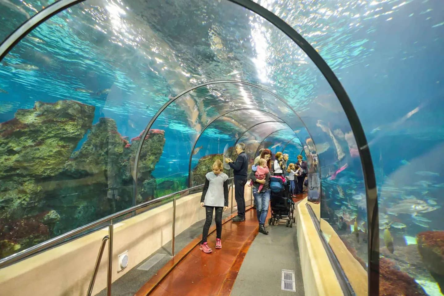 L’Aquàrium de Barcelona