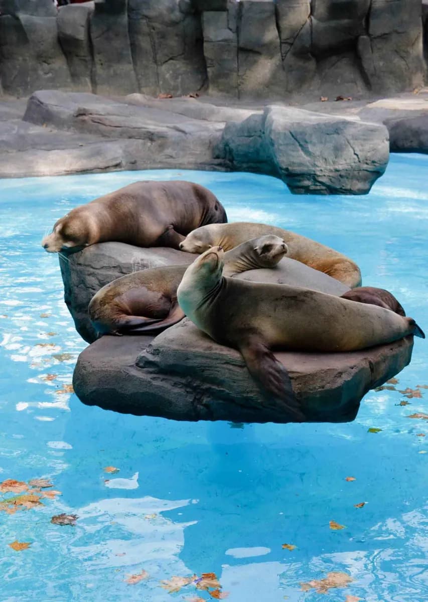 Zoo de Barcelone · 2