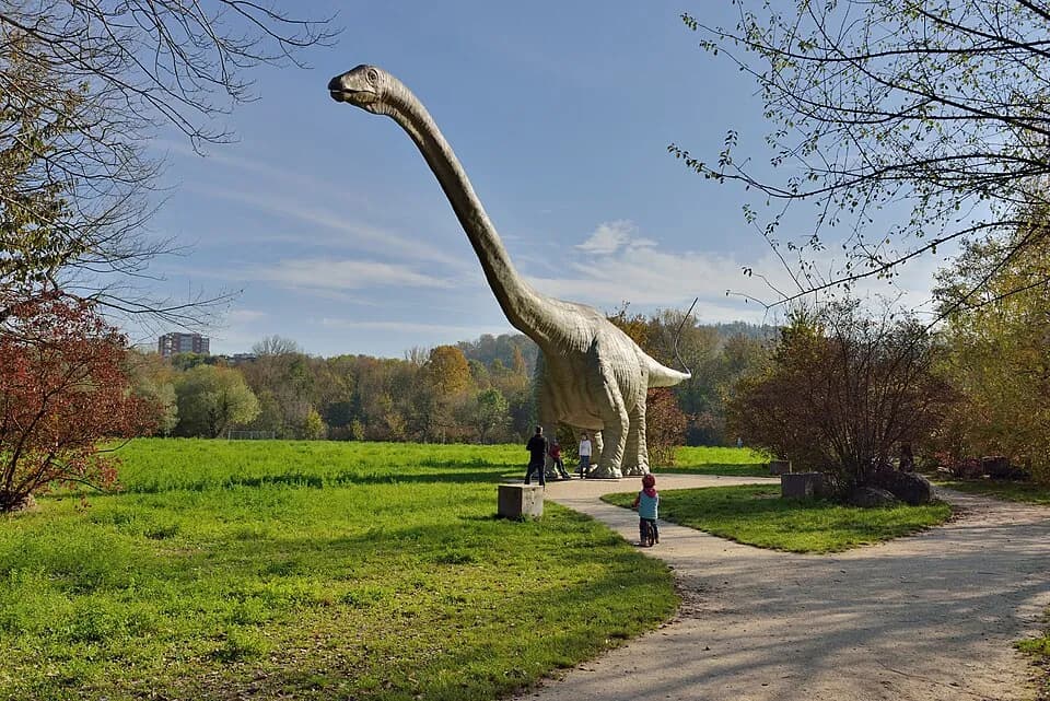 Park im Grünen