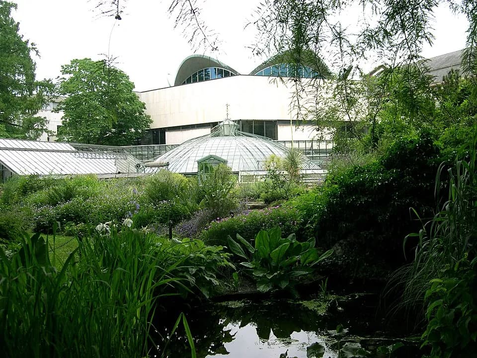 Botanischer Garten der Universität Basel