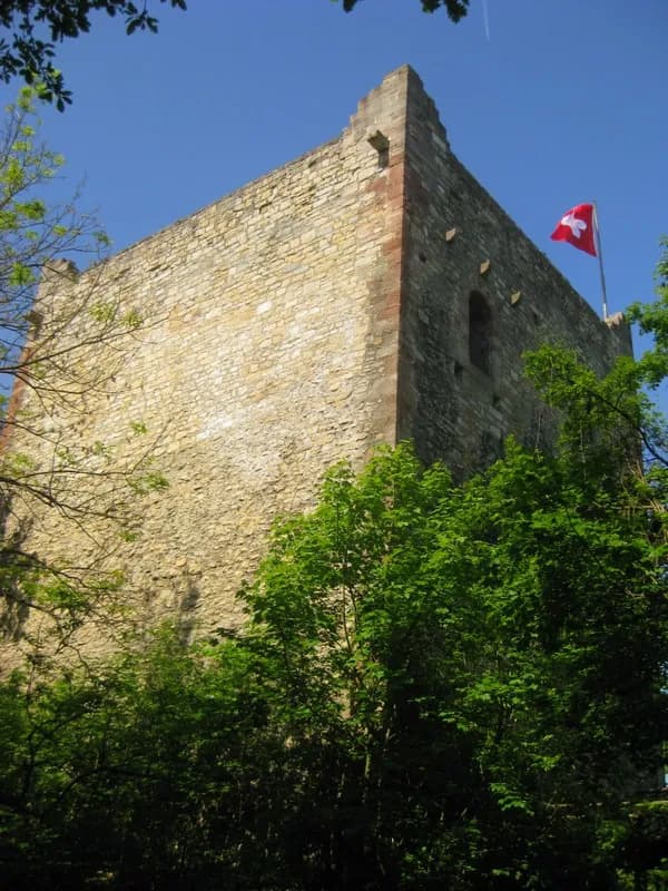 Ruines du château de Wartenberg
