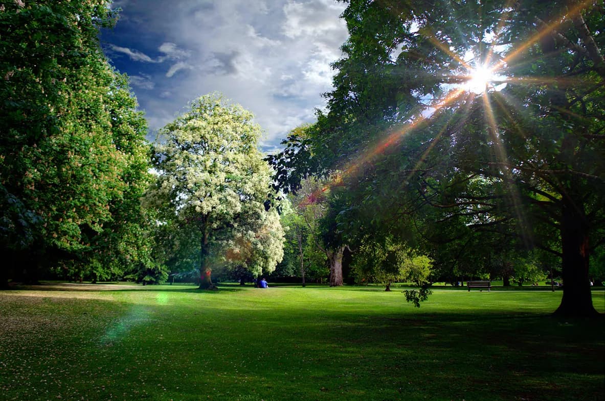 Henrietta Park