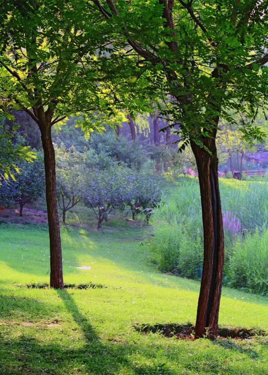 Chaoyang Park · 2