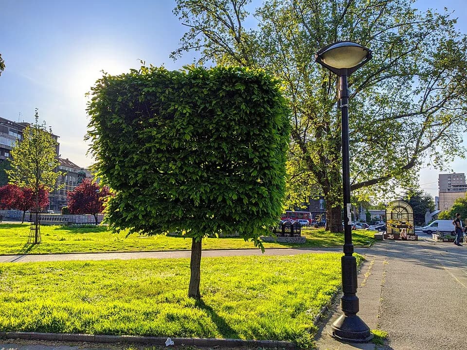 Park Ćirila i Metodija