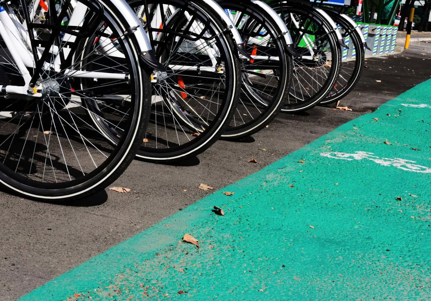 Ciclismo por Belgrado