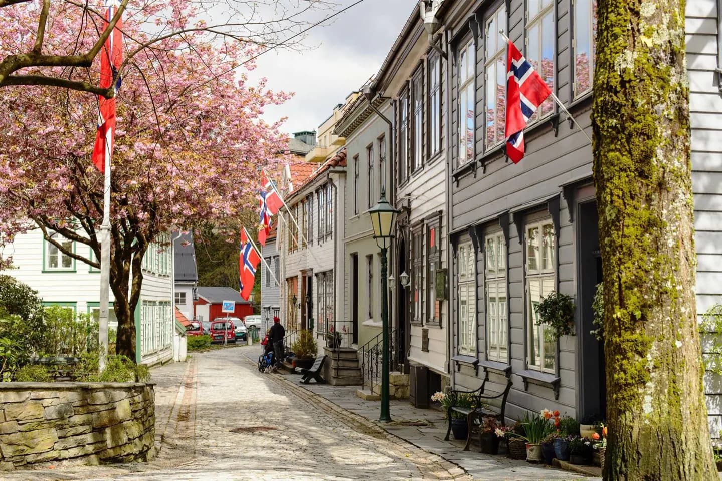 What to see in Bergen
