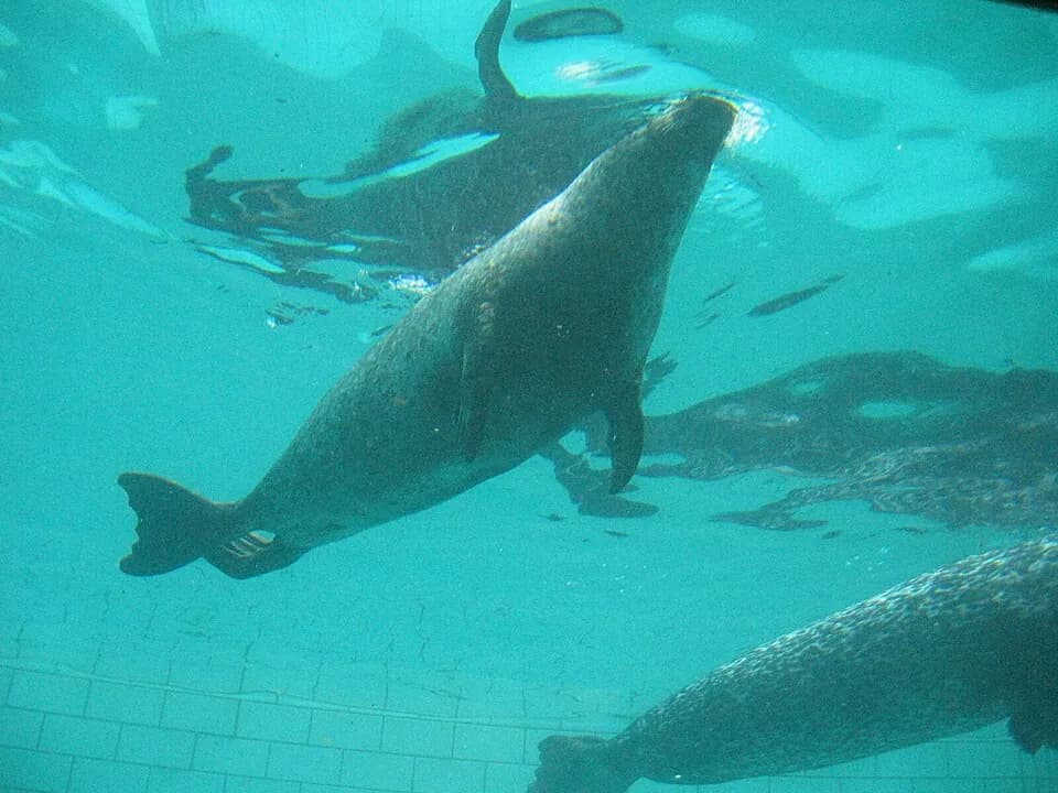 Bergen Aquarium