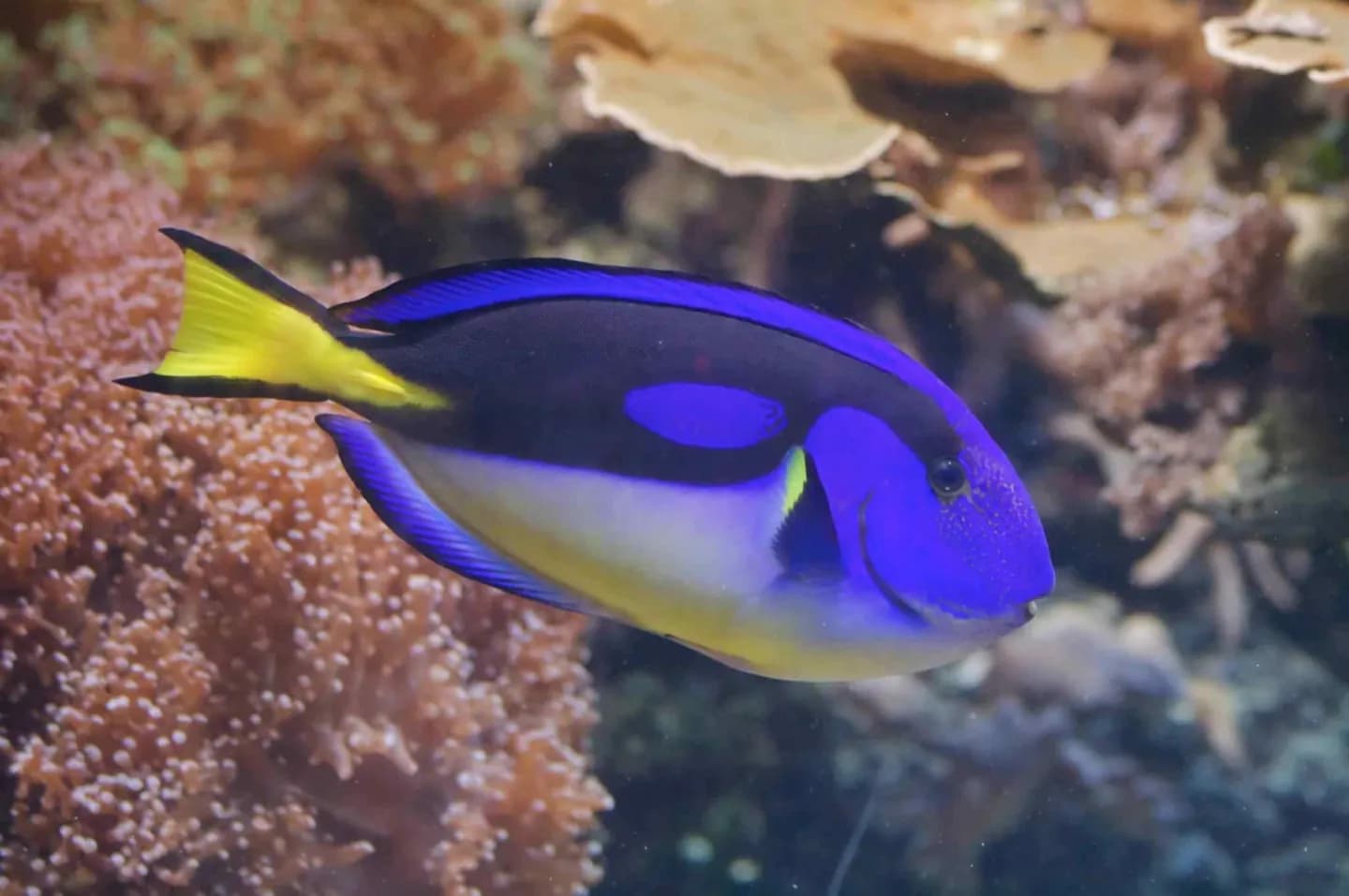 Aquarium Berlin · 3