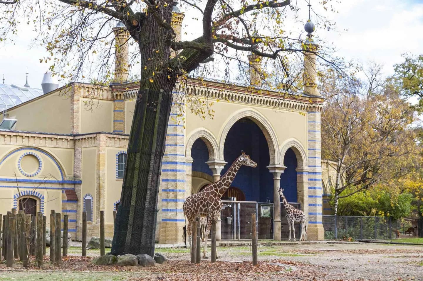 Zoo Berlin · 2