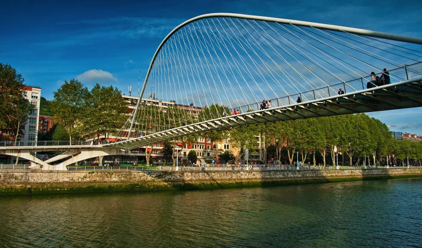 Zubizuri Footbridge