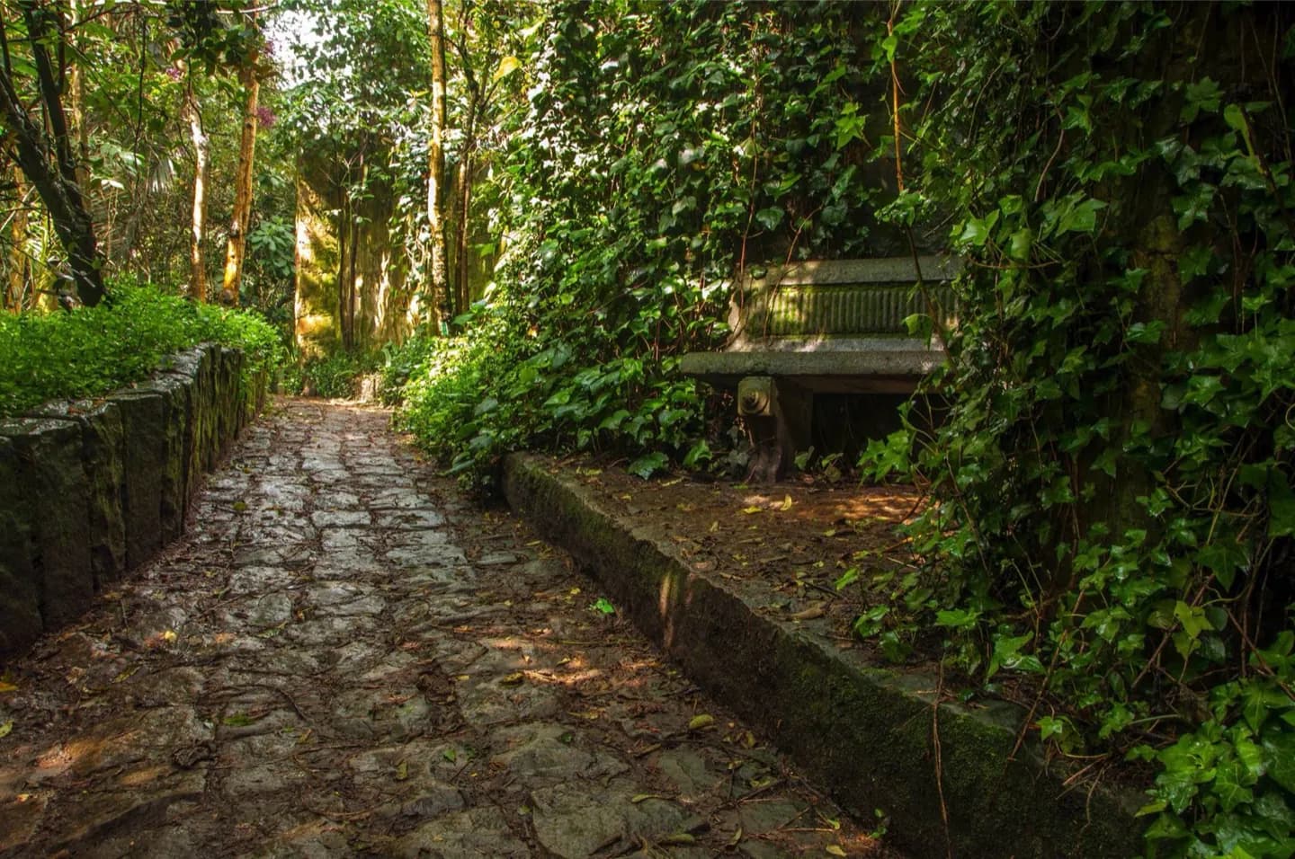 Botanische Welten, Vergnügungsfahrten im Themenpark Salitre Mágico und ein Spaziergang am Seeufer
