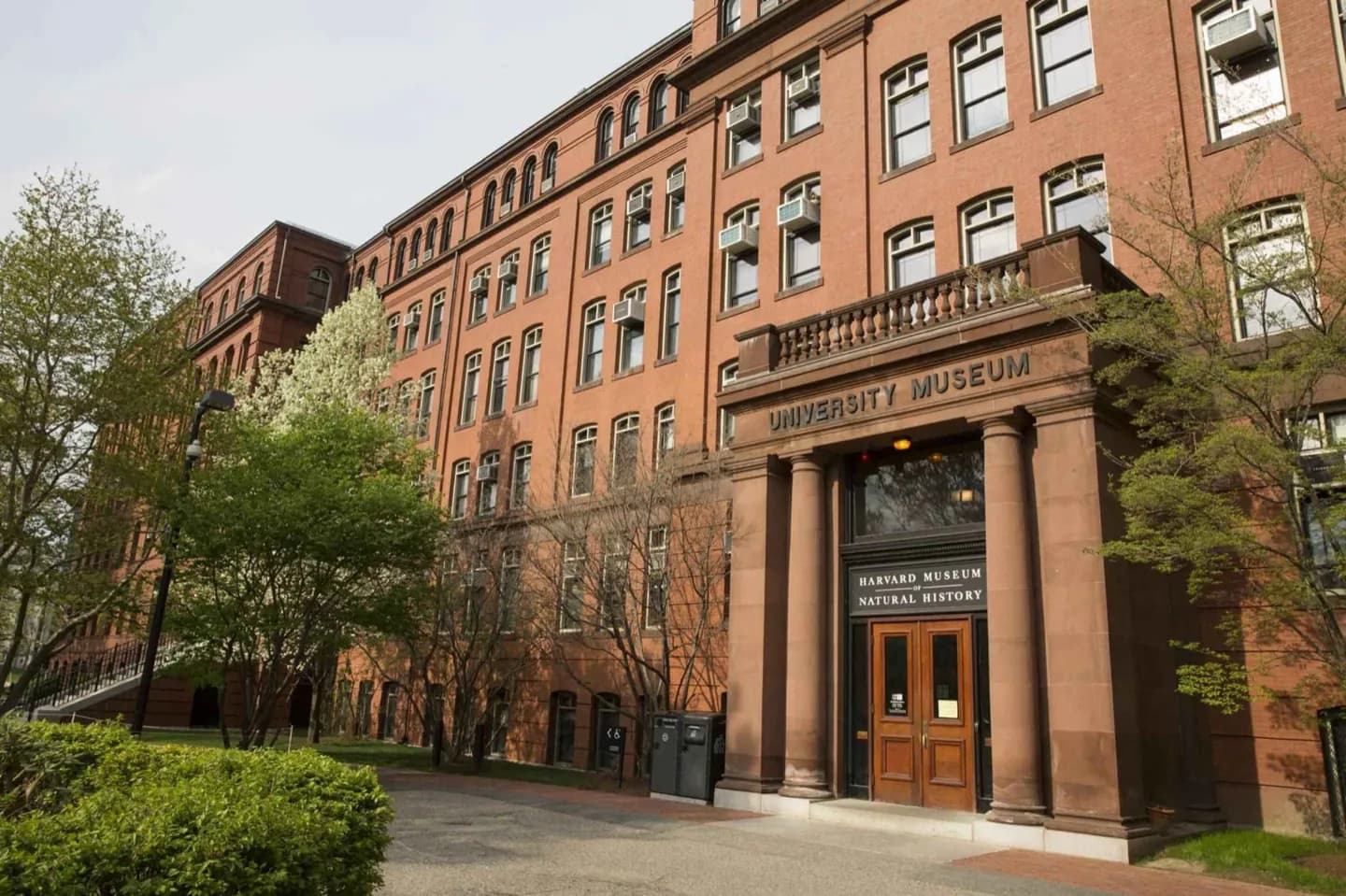 Harvard Museum of Natural History · 2