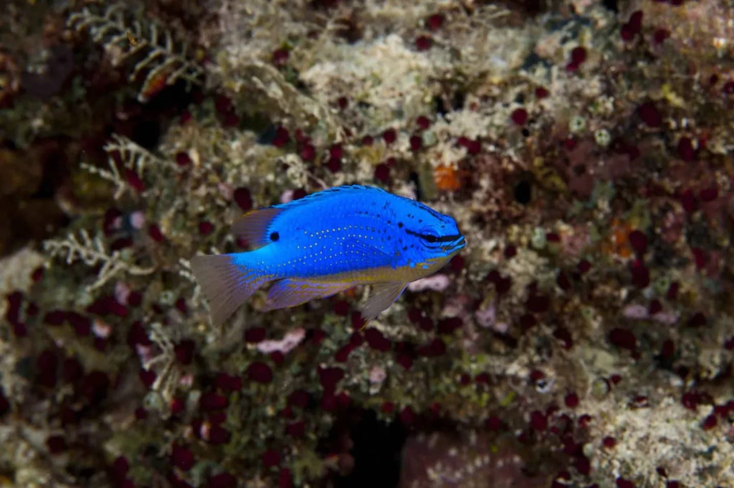 新英格兰水族馆 · 2